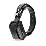 Collier dressage chien �lectrique rechargeable ip68 choc statique cl�ture sans fil