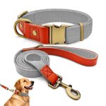 Collier et laisse pour chien - qianruida - nylon - argent� - xl - ajustable