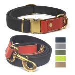 Collier et laisse pour chien qianruida nylon bleu - noir xl sr