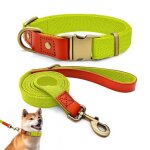 Collier et laisse pour chien - qianruida - nylon - jaune fluorescent - taille l - dressage