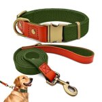 Collier et laisse pour chien - qianruida - nylon - kaki militaire - xl - dressage