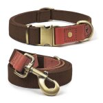 Collier et laisse pour chien - qianruida - nylon marron xl - r�sistant - dressage