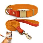 Collier et laisse pour chien qianruida nylon orange xl durable en usage
