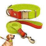 Collier et laisse pour chien - qianruida - xl - nylon jaune fluorescent - robuste