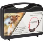 Collier de localisation - numaxes - canicom gps mini - sans fonction dressage - orange