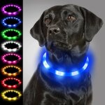 Collier lumineux pour chiens collier de chien led rechargeable usb clignotant collier de s�curit� r�glable ...