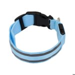 Collier lumineux pour chien - led - rechargeable usb - taille xs - ajustable - 3 modes de flash