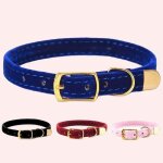Collier de s�curit� solide pour chat 1 pi�ce - noir