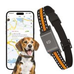 Collier traceur gps 4g pour animaux - ip65 - application gratuite