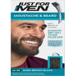 Coloration moustache / barbe h45 chtain trs fonc