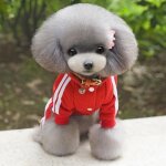 Combinaison pyjama chien - polaire douce - rouge - taille m