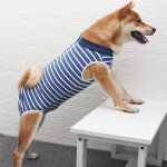 Combinaison de rcupration pour chienvtements chirurgicaux pour chiot anti - lchage chaton gilet post ...