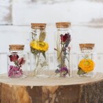 Comforder 4pcs fleurs sches en bouteille verre avec bouchon lige dco naturelle (color)