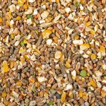 Complment alimentaire duvoplus