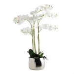 Composition d�corative orchide argent moyen 80x65x65
