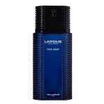 Eau de parfum - cool night - 100 ml - fougre - notes aromatiques - virilit lgante
