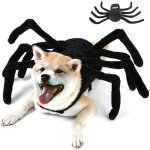 Costumes dhalloween pour chien - costume daraigne pour fte dhalloween pour chiens de taille moyenne ...