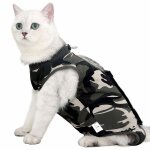 Costume de r�cup�ration de chat avec anti - l�chage pour plaies abdominales doux v�tements pour animaux ...
