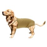 Couche pour chien x autohaux couches lavables rutilisables pour chiens culottes avec bretelles pour ...