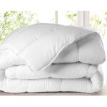 Couette - blanc - 220 x 240 cm - temp�r�e - 300g / m� - polyester silicon�