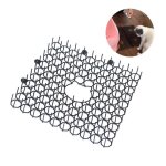 Coussin anti - pines de chat en plastique pour animaux de compagnie coussin rpulsif pour chats et chiens ...