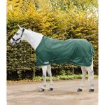 Couverture dextrieur pour cheval waldhausen economic - vert - 145 cm
