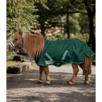 Couverture dextérieur pour cheval waldhausen shetty 100g - vert - 90 cm Couverture dextérieur pour cheval waldhausen shetty 100g - vert - 90 cm