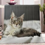 Couverture flanelle doux et confortable animal chat motif couverture plaid polaire couverture de canapé ... Couverture flanelle doux et confortable animal chat motif couverture plaid polaire couverture de canapé ...
