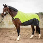Couverture de marcheur pour cheval r�fl�chissante imperm�able harrys horse 0g - vert - 175 cm