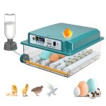 Couveuse oeuf automatique pour 16 oeufs incubateur oeuf avec contrôle de la température et retournement ... Couveuse oeuf automatique pour 16 oeufs incubateur oeuf avec contrôle de la température et retournement ...
