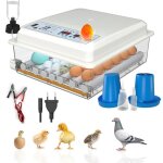 Couveuse oeuf automatique 24 � 36 ?ufs humidification par retournement pic � ?ufsmesure lhumidit� 4 modes ...