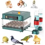 Couveuse oeuf automatique 24 oeufsretournement automatique des ?ufsincubateur oeuf automatiquecontrôle ... Couveuse oeuf automatique 24 oeufsretournement automatique des ?ufsincubateur oeuf automatiquecontrôle ...