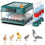 Couveuse oeuf automatique pour 36 oeufs avec contrôle de température et ajout automatique deau pour oufs ... Couveuse oeuf automatique pour 36 oeufs avec contrôle de température et ajout automatique deau pour oufs ...