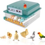 Couveuse oeuf automatique pour 36 oeufs etournement automatique des oufs contrôle de la température mire ... Couveuse oeuf automatique pour 36 oeufs etournement automatique des oufs contrôle de la température mire ...