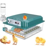 Couveuse oeuf automatique 36 oeufs incubateur oeuf automatique retournement automatique des ?ufs surveillance ...