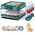 Couveuse oeuf automatique 36 oufs retournement automatique des ?ufs contrôle de la température humidification ... Couveuse oeuf automatique 36 oufs retournement automatique des ?ufs contrôle de la température humidification ...