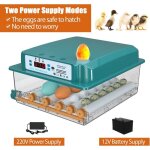 Couveuse oeuf automatique 36 ?ufs retournement automatique des ?ufs contr�le de la temp�rature humidification ...