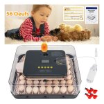 Couveuse oeuf automatique 56 oeufs - homdox retourne - ?ufs humidification auto temprature stable incubateur ...