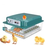 Couveuse oeuf automatique avec contrôle de température pour 36 oeufs retournement automatique pour oeufs ... Couveuse oeuf automatique avec contrôle de température pour 36 oeufs retournement automatique pour oeufs ...