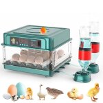 Couveuse oeuf automatique incubateur automatique 15 oeufs avec syst�me de retournement automatique et ...