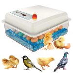 Couveuse oeuf automatique incubateur d?uf couveuse automatiqueaffichage de lhumiditécouveuse automatique ... Couveuse oeuf automatique incubateur d?uf couveuse automatiqueaffichage de lhumiditécouveuse automatique ...
