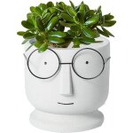 Cr�atif lunettes visage pots de plantes pots de cactus pour accueil bureau mariage d�corvisage cache ...