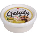 Cr�me glac�e pour chien - snack gelato - 40 g - saveurs al�atoires - nutritif et frais