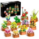 Cubimana 12 plantes succulentes � construire ? 1403pcs d�coration botanique avec pots ? kit diy pour ...