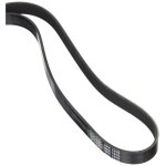 Dayco 6pk1975 courroie accessoire