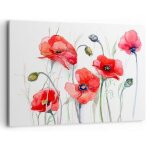 Deco cadre dcoration salon fleur coquelicot prairie moderne impression sur toile 60x40cm image tableau ...