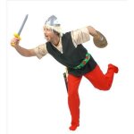 Deguisement d asterix le gaulois t48 / 50