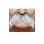 D�guisement moustache grise professionnelle 078 - mb pour carnaval - my other me fun company sl