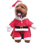 Dguisement de nol pour chien avec bonnet de pre nol ensemble de dguisement pour animaux de compagnie ...