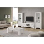 Denae - ensemble salon complet laqué blanc brillant meuble tv + table basse + vitrines leds Denae - ensemble salon complet laqué blanc brillant meuble tv + table basse + vitrines leds